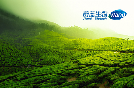 蔚藍康成生物科技